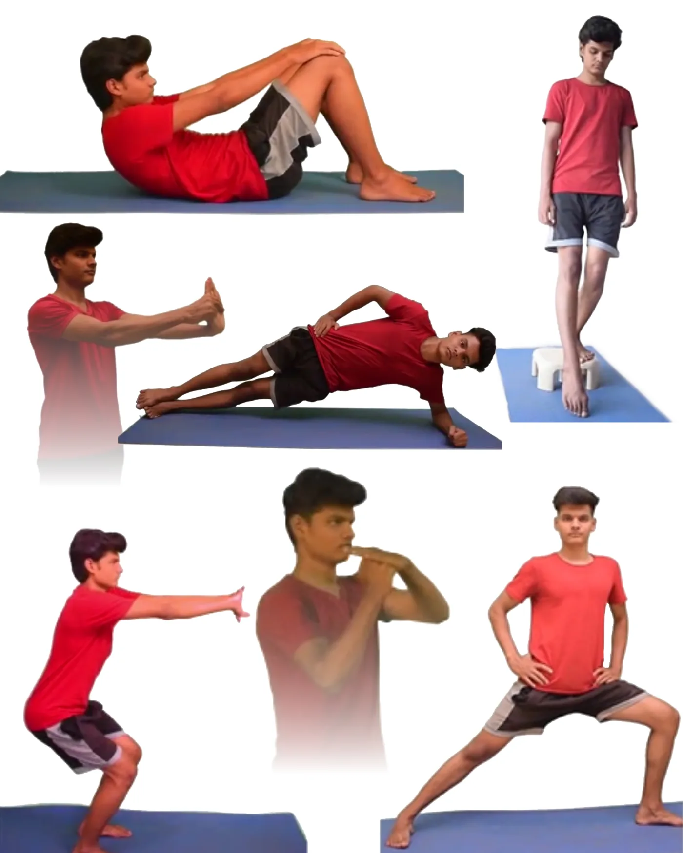 A grid of exercises from the library: strength, balance, range of motion and gait work.